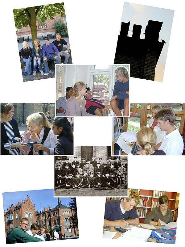d7collage