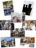 d7collage